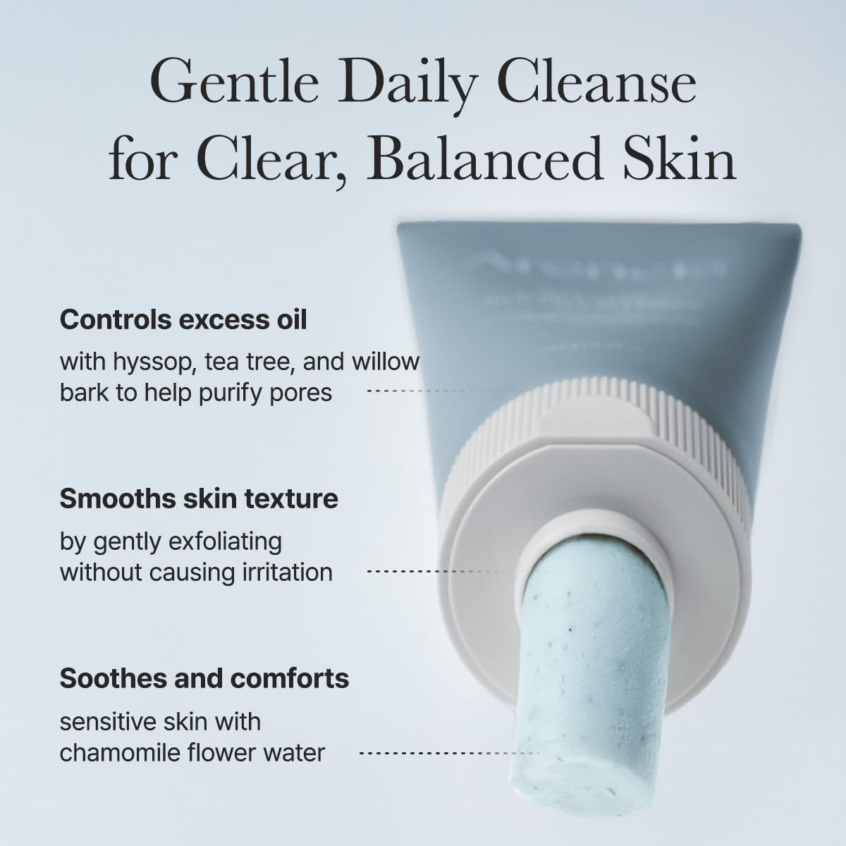 ARENCIA Hyssop Sebum Control Rice Cake Cleanser, 5.29 oz, AHA Tea Tree Face Wash for Oily Combination Skin